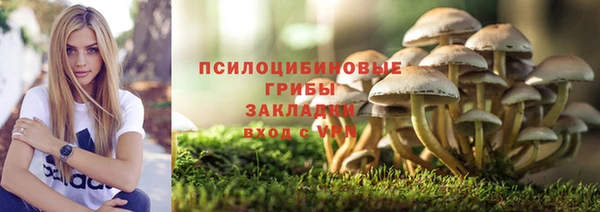 мяу мяу мука Надым