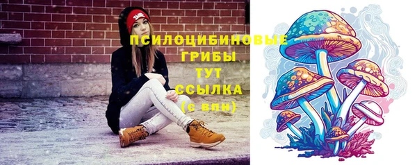 mdpv Нея