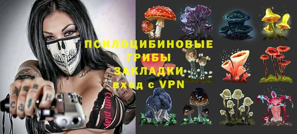 мяу мяу мука Надым