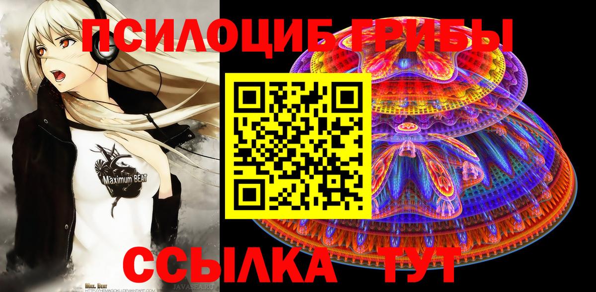 Псилоцибиновые грибы Cubensis  Унеча 