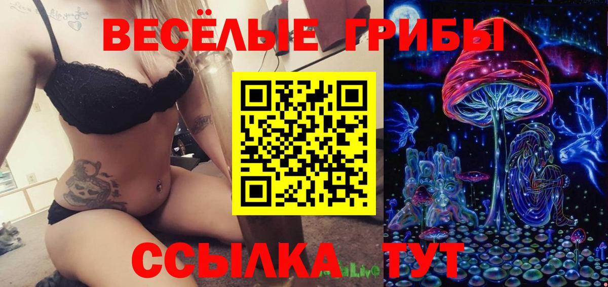 Меф Унеча