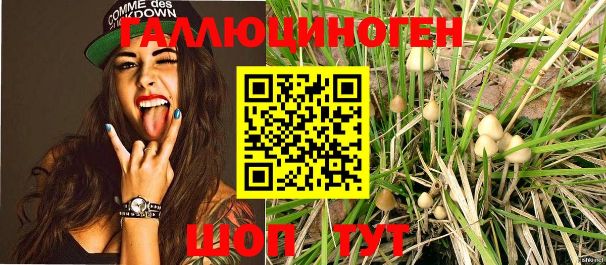 Псилоцибиновые грибы мухоморы Унеча