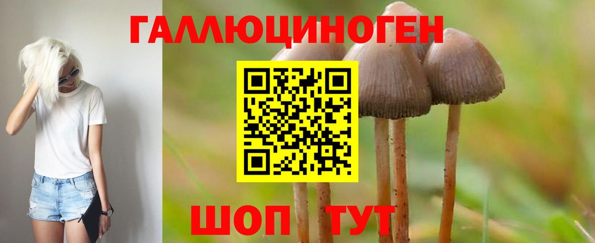 Псилоцибиновые грибы Psilocybe  Вход с VPN  Псилоцибиновые грибы Psilocybe  Унеча 