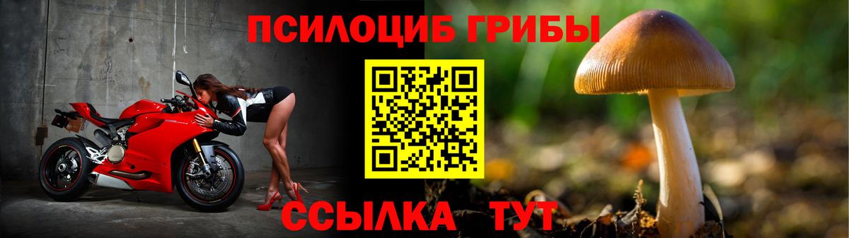 Галлюциногенные грибы Psilocybine cubensis Унеча